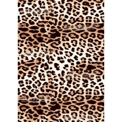 Leopárd mintás A3 tortaostya - Lumea