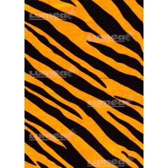 Tigris mintás A3 tortaostya - Lumea