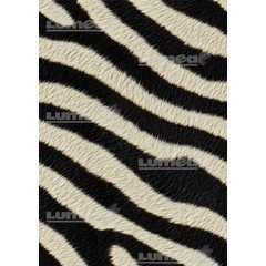 Zebra mintás A3 tortaostya - Lumea