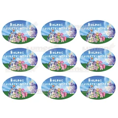 "Boldog születésnapot" My Little Pony táblácskák tortaostya - Lumea