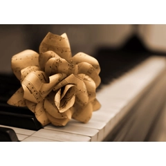 Rózsa zongorával tortaostya - Lumea