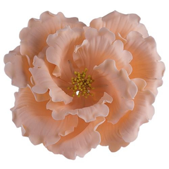 Barack színű virágzó rózsa cukormasszából - Lumea
