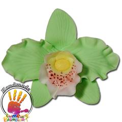 Világos Zöld Orchidea Cattleya szett cukormasszából, 16 db. - Lumea