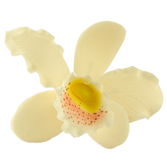 Krém színű orchidea cattleya XL cukormasszából - Lumea