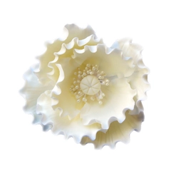 Közepes fehér mákvirág cukormasszából - Lumea