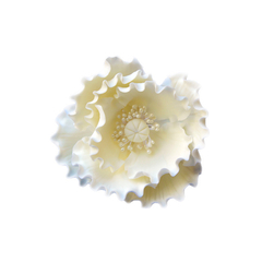 Kicsi fehér mákvirág cukormasszából - Lumea