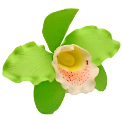 Zöld orchidea cattleya XL cukormasszából - Lumea