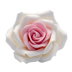 Fehér-rózsaszín óriás rózsa cukorból - Lumea