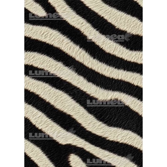 Zebra mintás A3 tortaostya - Lumea
