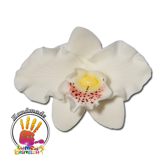 Fehér Orchidea Cattleya szett cukormasszából,16 db. - Lumea