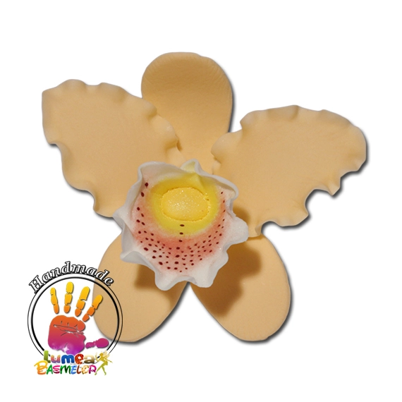 Barack színű orchidea cattleya XL cukormasszából - Lumea