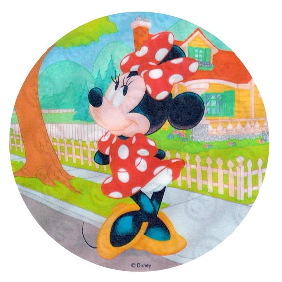 Minnie tortaostya