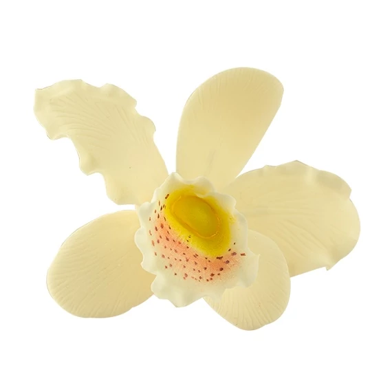 Krém színű orchidea cattleya XL cukormasszából - Lumea