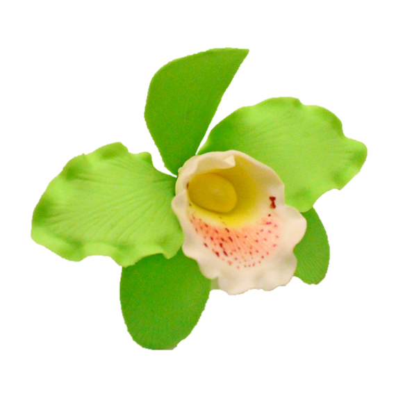 Zöld orchidea cattleya XL cukormasszából - Lumea
