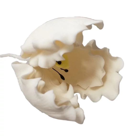 Krém színű papagáj tulipán cukormasszából  - Lumea