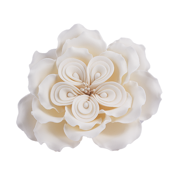 Fehér David Austin rózsa cukormasszából - Lumea