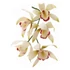 Kicsi Orchidea kiszúró szett - JEM
