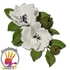 Liliom bibe, 180 db. - Wilton