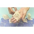 Csipke mintás szilikon - 3D Fantazia - Crystal Lace