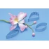 Orchidea Cattleya kiszúró szett, 3 db. - PME