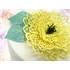 Csipke mintás szilikon - 3D Fantazia - Crystal Lace