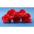 Nagy piros mákvirág cukormasszából - Lumea