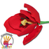 Piros papagáj tulipán cukormasszából - Lumea