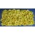 Sárga színű hajított virágocskák szett cukormasszából, 270 db. - Lumea
