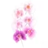 Orchidea virág kiszúró, 3 db. - FMM
